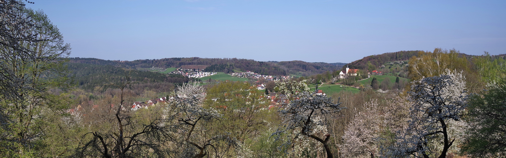 Headerbild 006