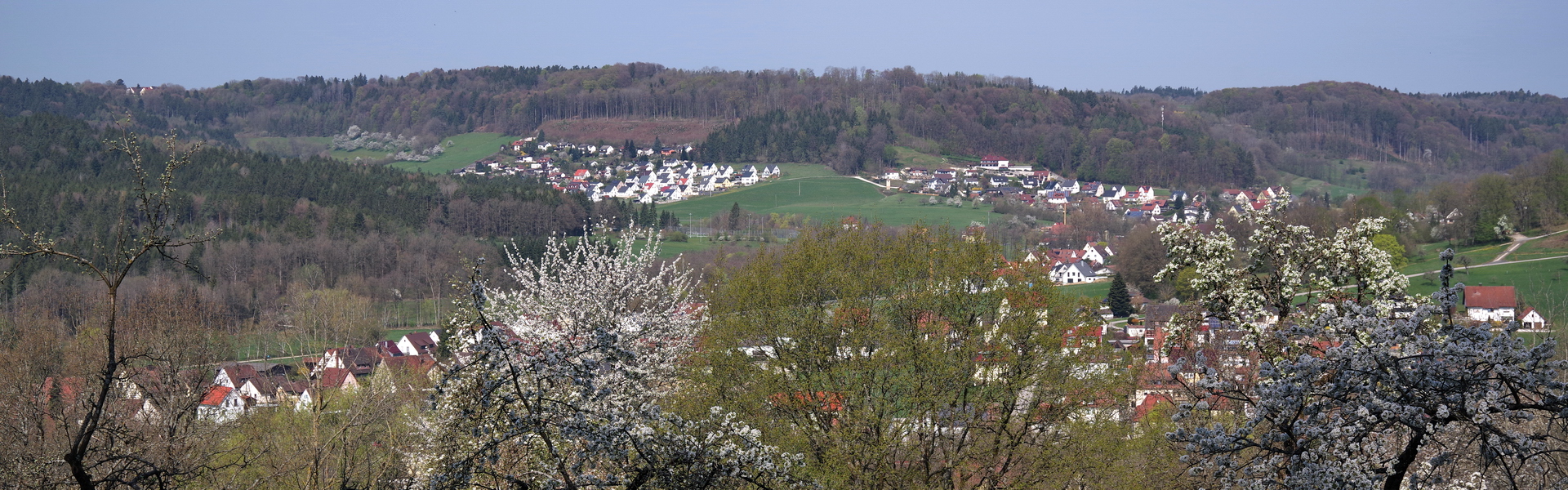 Headerbild 007