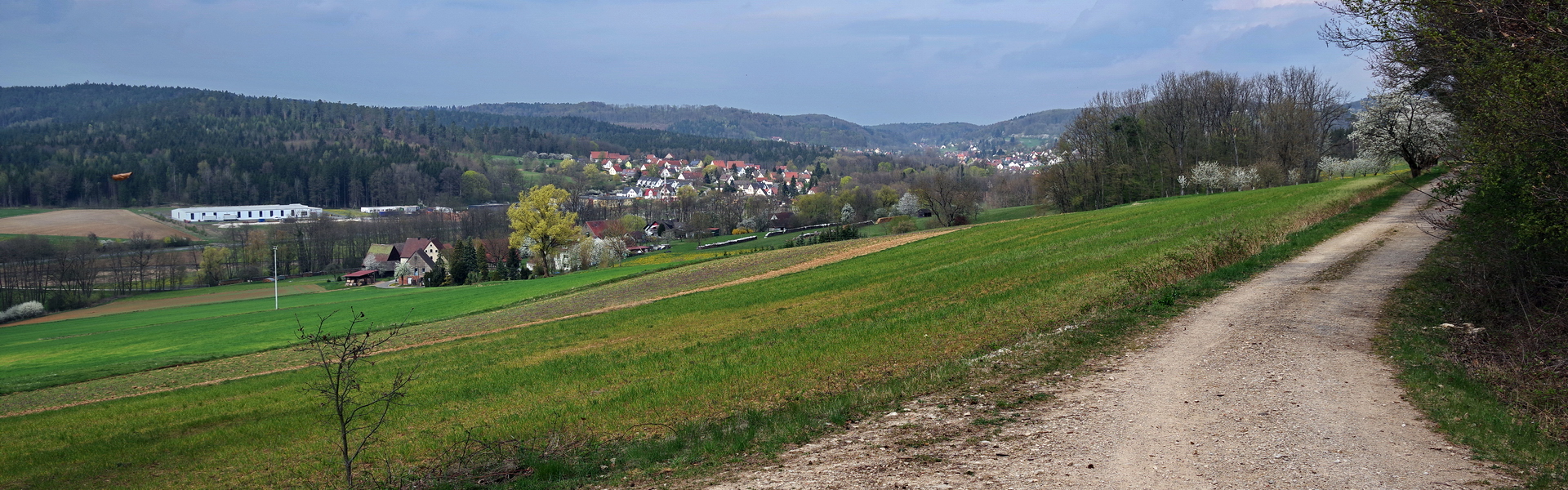 Headerbild 008