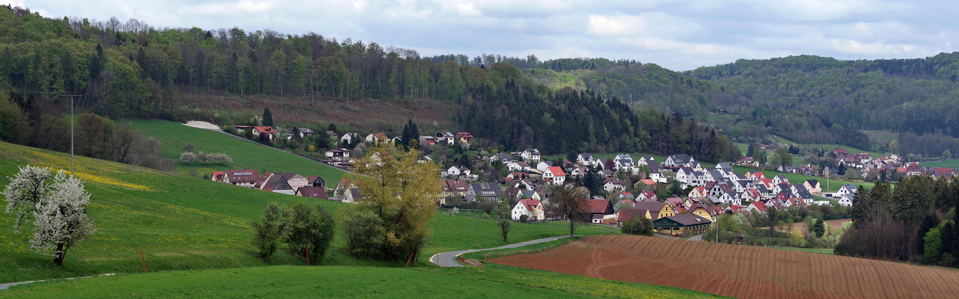 Headerbild 011