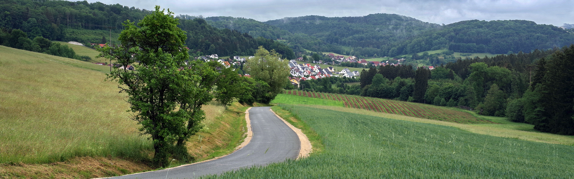 Headerbild 019