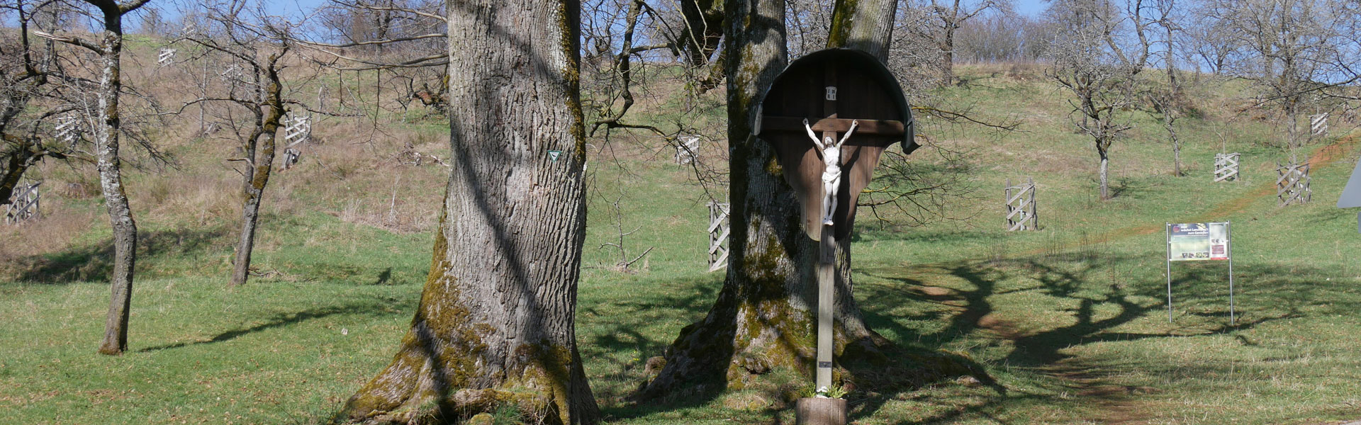 Headerbild 033